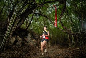 BIB: 
                            <button type="button" onclick="openModal(22178766)" class="btn btn-primary btn-sm float-right btn-popup" data-toggle="modal" data-target=".modal-high-quality">
                        <i class="fas fa-shopping-cart"></i> Add to Cart
                    </button>
                                            <button type="button" onclick="isThisMe(22178766, true)" class="btn btn-success btn-sm float-right btn-popup btn-isme hidden" data-toggle="tooltip" data-placement="bottom" title="นี่คือรูปของคุณใช่ไหม คลิกที่นี่เพื่อเอาเข้าอัลบั้ม">
                        <i class="fas fa-plus"></i> Add to album
                    </button>
                    <button type="button" onclick="isThisMe(22178766, false)" class="btn btn-warning btn-sm float-right btn-popup btn-isnotme hidden">
                        <i class="fas fa-ban"></i> Remove from album
                    </button>